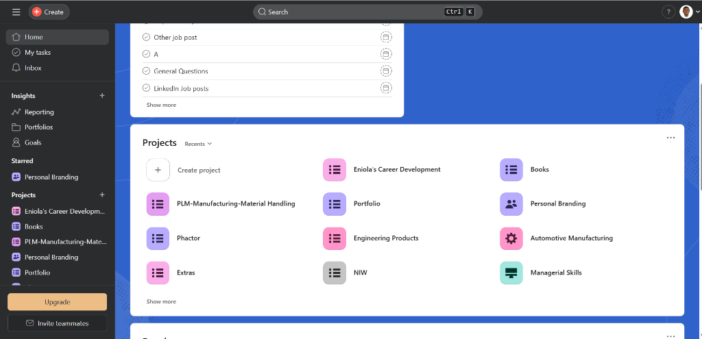 Asana Project Overview